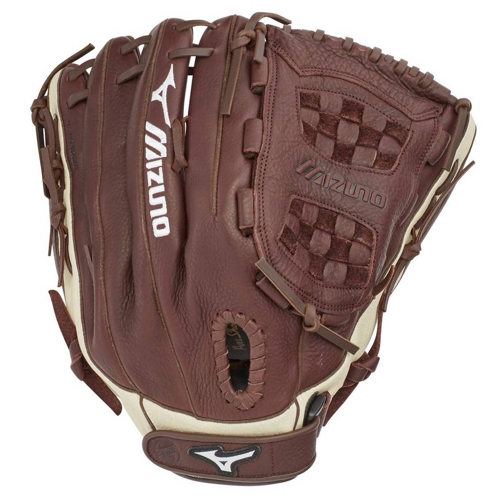 Mens Mizuno Franchise Series Slowpitch 14" Softball Gloves Coffee/Silver Philippines (JYNXLB408)